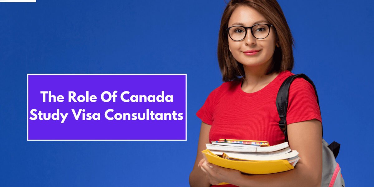 The Role Of Canada Study Visa Consultants