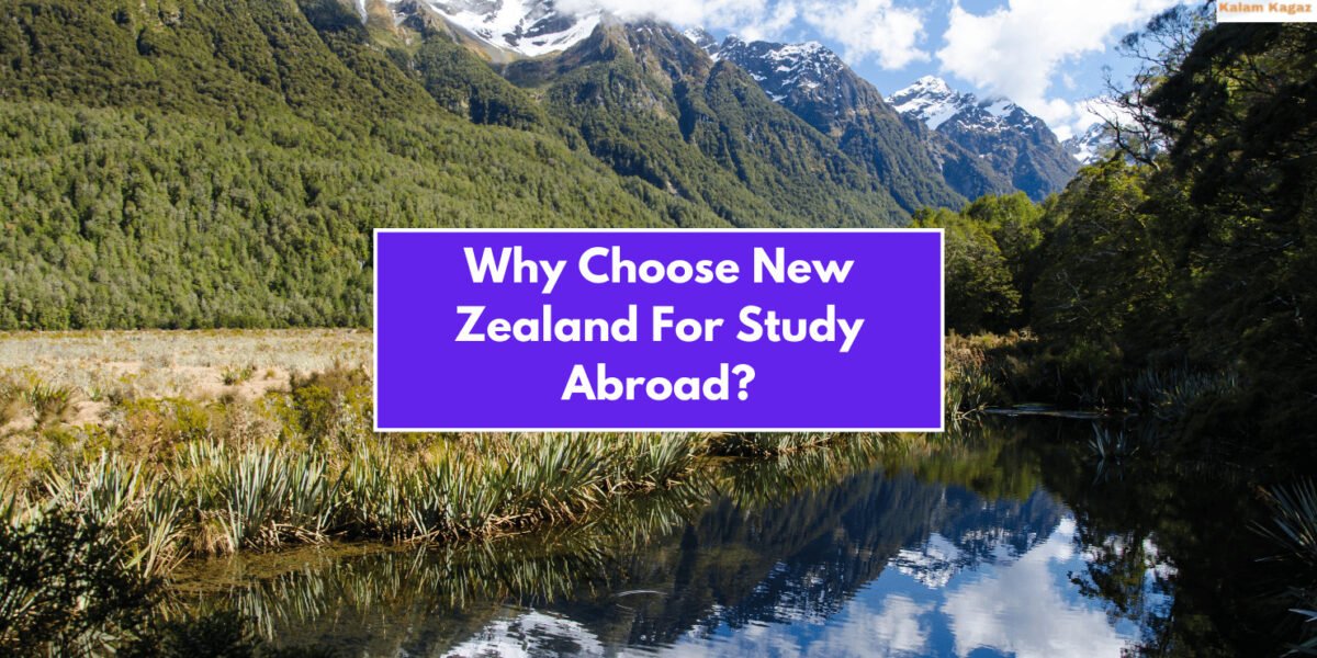 Why Choose New Zealand For Study Abroad?